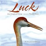 George, Jean Craighead: Luck