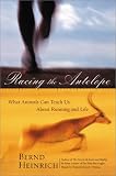 Heinrich, Bernd: Racing the Antelope: What Animals Can Teach Us about Running and Life Heinrich, Bernd: Racing the Antelope: What Animals Can Teach Us about Running and Life