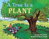 Bulla, Clyde Robert: A Tree Is a Plant