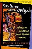 Kamenetz, Rodger: Stalking Elijah: Adventures with Today's Jewish Mystical Masters