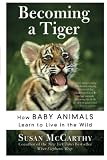 McCarthy, Susan: Becoming a Tiger: How Baby Animals Learn to Live in the Wild