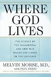 Perry, Paul: Where God Lives: The Science of the Paranormal and How Our Brains Are Linked to the Universe Perry, Paul: Where God Lives: The Science of the Paranormal and How Our Brains Are Linked to the Universe