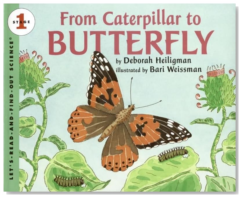 From Caterpillar to Butterfly Big Book
