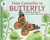 Heiligman, Deborah: From Caterpillar to Butterfly Heiligman, Deborah: From Caterpillar to Butterfly
