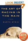 The Art of Racing in the Rain