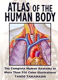 [???]: The Human Body