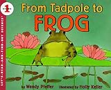 Pfeffer, Wendy: From Tadpole to Frog