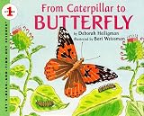 Heiligman, Deborah: From Caterpillar to Butterfly Heiligman, Deborah: From Caterpillar to Butterfly