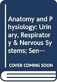 Steen, Edwin B.: Anatomy and Physiology: Urinary, Respiratory & Nervous Systems; Sensations &Sense Organs; Endocrine & Reproductive Systems