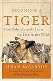 McCarthy, Susan: Becoming a Tiger: How Baby Animals Learn to Live in the Wild McCarthy, Susan: Becoming a Tiger: How Baby Animals Learn to Live in the Wild