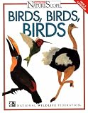 National Wildlife Federation: Birds, Birds, Birds!