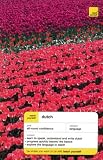 Quist, Gerdi: Teach Yourself Dutch Complete Course