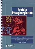 Sefton, Bartholomew M.: Protein Phosphorylation