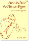 Gordon, Louise: How to Draw the Human Figure: An Anatomical Approach Gordon, Louise: How to Draw the Human Figure: An Anatomical Approach