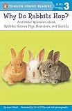 Holub, Joan: Why Do Rabbits Hop