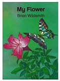 Wildsmith, Brian: My Flower