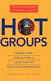 Lipman-Blumen, Jean: Hot Groups: Seeding Them, Feeding Them, and Using Them to Ignite Your Organization Lipman-Blumen, Jean: Hot Groups: Seeding Them, Feeding Them, and Using Them to Ignite Your Organization