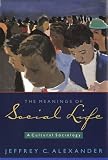 Alexander, Jeffrey C.: The Meanings of Social Life: A Cultural Sociology