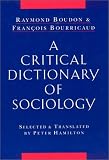 Boudon, Raymond: A Critical Dictionary of Sociology