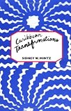 Caribbean Transformations (0231071159) by Mintz, Sidney W. Mintz, Sidney W.: Caribbean Transformations