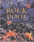 Oliver, Clare: Life in a Rock Pool