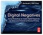 Digital Negatives: Using Photoshop to Create Digital Negatives for Silver and Alternative Process Printing