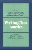 Frisch, Michael: Working-Class America: Essays on Labor, Community, and American Society