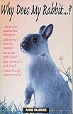 McBride, Anne: Why Does My Rabbit... ?