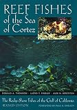 Reef Fishes of the Sea of Cortez: The Rocky-Shore Fishes of the Gulf of California (0292781555) by Thomson, Donald A. Thomson, Donald A.: Reef Fishes of the Sea of Cortez: The Rocky-Shore Fishes of the Gulf of California