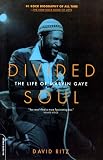 Ritz, David: Divided Soul: The Life of Marvin Gaye