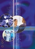 Rae, Scott: Beyond Integrity: A Judeo-Christian Approach to Business Ethics