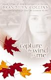 Collins, Brandilyn: Capture the Wind for Me