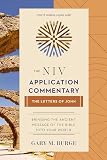 Burge, Gary M.: The Letters of John: The Niv Application Commentary From Biblical Text...to Contemporary Life