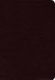 Zondervan Publishing: Amplified Bible: Burgundy Bonded Leather