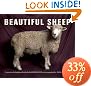Beautiful Sheep