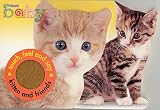 Priddy, Roger: Kitten and Friends