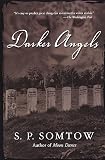 Somtow, S. P.: Darker Angels