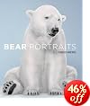 Bear Portraits