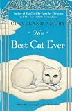 Amory, Cleveland: The Best Cat Ever Amory, Cleveland: The Best Cat Ever