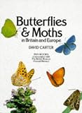 Carter, David A.: Butterflies and Moths in Britin and Europe