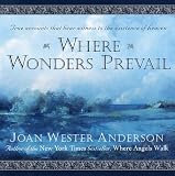 Anderson, Joan W.: Where Wonders Prevail Anderson, Joan W.: Where Wonders Prevail