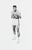 Reemtsma, Jan Philipp: More Than a Champion: The Style of Muhammad Ali Reemtsma, Jan Philipp: More Than a Champion: The Style of Muhammad Ali