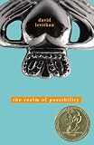 Levithan, David: Realm of Possibility