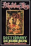 Shenk, David: Skeleton Key: A Dictionary for Deadheads