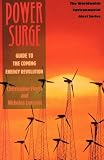 Flavin, Christopher: Power Surge : Guide to the Coming Energy Revolution Flavin, Christopher: Power Surge : Guide to the Coming Energy Revolution
