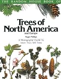 Phillips, Roger: Trees of North America and Europe/a Photographic Guide to More Than 500 Trees