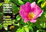 Spellenberg, Richard: Familiar Flowers of North America: Eastern Region