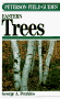 Petrides, George A.: A Field Guide to Eastern Trees: Eastern United States and Canada