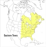 Petrides, George A.: A Field Guide to Eastern Trees: Eastern United States and Canada, Including the Midwest