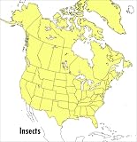 White, Richard E.: A Field Guide to Insects: America North of Mexico White, Richard E.: A Field Guide to Insects: America North of Mexico
